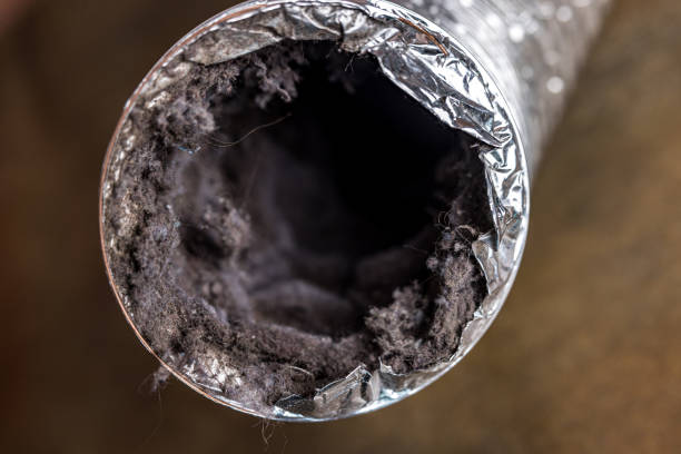 Best Ductwork Cleaning Services  in North Shore, CA